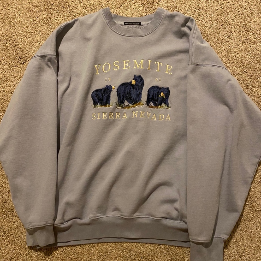 Brandy Melville Erica sweatshirt